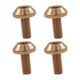 thumbnail image 4 of Soporte para Botella de Agua de Bicicleta Perno Zulema 4 Uds Oro, 4 of 8