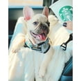 thumbnail image 3 of French Bulldog Harness | Versatile Health Harness | Mint StarPup, 3 of 16