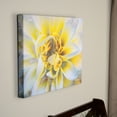 thumbnail image 5 of Ready2HangArt  'Painted Petals XXXVII' Canvas Wall Art 20" W x 16" H, 5 of 5