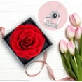 thumbnail image 4 of Gifts for Mom Preserved Real Rose with Necklace I Love You Mom in 100 Languages Forever Rose Mom Necklace from Daughter Son on Mother's Day Birthday, 4 of 6