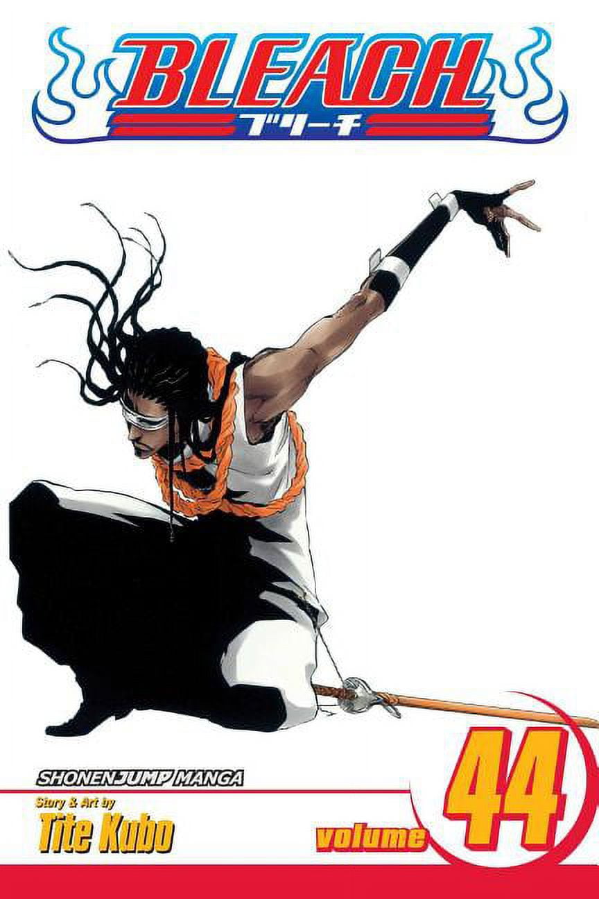 Bleach Bleach, Vol. 45: The Burnout Inferno, Book 45, (Paperback