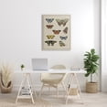 thumbnail image 2 of Stupell Industries Vintage Butterfly Study over Muted Cursive Script Animals & Insects Painting Gallery Wrapped Canvas Print Wall Art, 30 x 40, 2 of 6