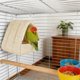 thumbnail image 5 of Hamaca cálida para loros | Cama colgante de algodón grueso y afelpado | Espacio de descanso invernal acogedor para loros medianos | Accesorio de jaula de tela suave | Amarillo, gris, verde y morado, 5 of 5