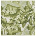 thumbnail image 3 of SAFAVIEH Barbados Igor Tapis Botanique Intérieur/Extérieur, 3 of 8