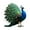 SCB1168 2, variant on WINDLAND Acrylic Peacocks Figurine Tabletop Centerpieces Statue Decorative Ornament
