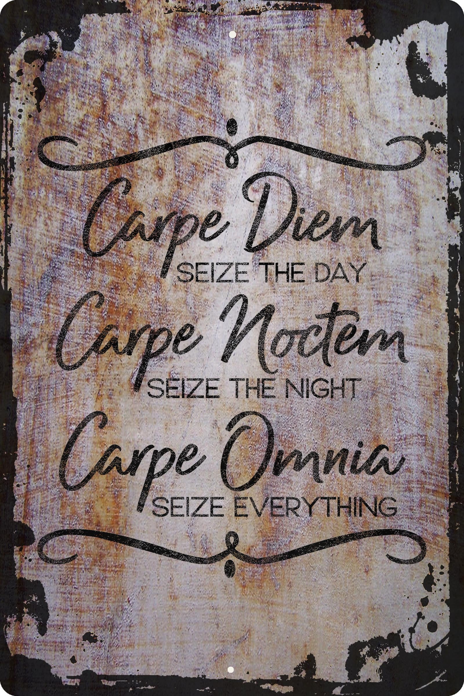 Wall Sign Carpe Diem Carpe Noctem Carpe Omnia Quotes Sayings