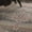 Grey, variant on Nourison Vintage Kashan Persian Blue 2' x 4' Area Rug, (2x4)