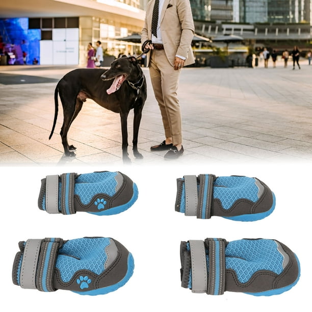 Blue dog shoes clearance