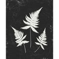 thumbnail image 3 of Hershey, Moira 12x14 Black Modern Framed Museum Art Print Titled - Forest Shadows IV Black Crop, 3 of 5