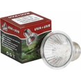 thumbnail image 1 of Terrarium Oasis, Performance Fiable Longue Durée de Vie, Support d'Absorption du Calcium, Design en Verre de Haute Qualité, Promotion de la Synthèse de Vitamine D3, Prise E27 Facile à Utiliser, Full, 1 of 5