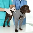 thumbnail image 5 of Kuoser Dog Recovery Suit, Surgery Suit for Front Legs, Dog Anti-Lick Wounds Sleeves, Gray, XL, 5 of 8