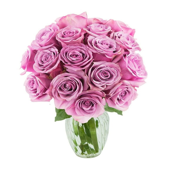 KaBloom : Bouquet of Fresh 18 Purple Roses with Vase, Next-Day Delivery, Gift for all occasions