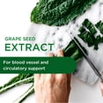 thumbnail image 3 of Emerald Labs Grape Seed Extract - Supports Blood Circulation, Anti-Aging - 100mg Premium Extract with Organic Rosehip Powder - 90 Vegtable Capsules, 3 of 8