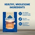 thumbnail image 6 of Blue Buffalo Dental Bones Small Natural Dental Chew Dog Treats Value Pack, 27-oz. Bag, 6 of 9
