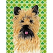 40 x 40 in. Cairn Terrier St. Patricks Day Shamrock Portrait House Size Canvas Flag