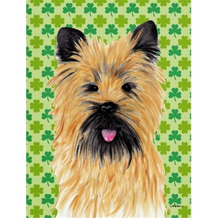 40 x 40 in. Cairn Terrier St. Patricks Day Shamrock Portrait House Size Canvas Flag