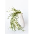 thumbnail image 3 of 24" Faux Pencil Cactus Hanging Succulent Bush, 3 of 4