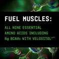 thumbnail image 4 of Beyond Raw Precision Amino | Recovery & Power Amino Acid Formula | Fuel Muscles | Enhance Hydration | Crisp Apple | 25 Servings, 4 of 7