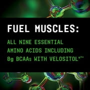 Beyond Raw Precision Amino | Recovery & Power Amino Acid Formula | Fuel Muscles | Enhance Hydration | Crisp Apple | 25 Servings