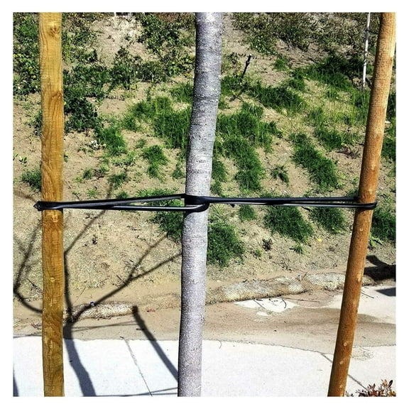 USA Made - Universal Tree Ties 32" - Professional Gardener Self Locking Straps Includes Nail (50)