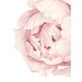 thumbnail image 4 of Peony Flower Wall Sticker-LARGE Set, 4 of 5
