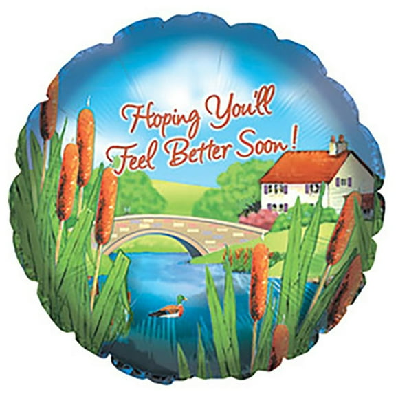 17 inch Feel Better Cattails Foil Mylar Balloon - Party Supplies Decorations