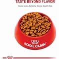 thumbnail image 2 of Breed Health Nutrition Jack Russell Terrier Adult Dry Dog Food 10 lbs., 2 of 2