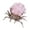 Pink, variant on HHBEAUTY Natural Crystal Tumbling Stones with Silver Alloy Spider Handmade Halloween Decor Healing Crystal Gift for Home & Office Unique Animal Figurine Collection
