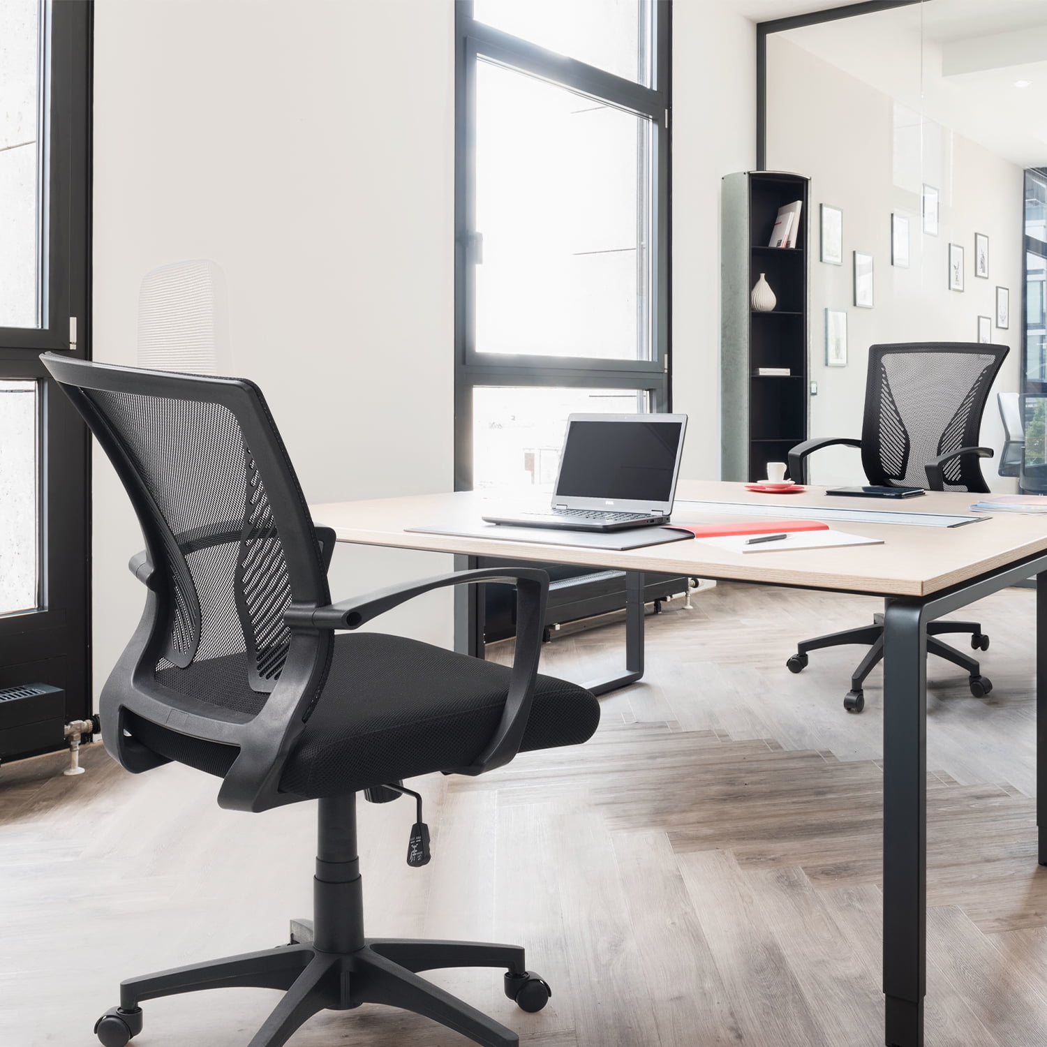 Lacoo Mid-Back Office Desk Chair Ergonomic Mesh Task Chair with Lumbar Support Set of 2, Black