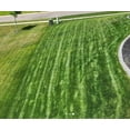 thumbnail image 3 of Twin City Seed Co. Sun & Shade, Tall Fescues, Fine Fescues, Bluegrass, and Perennial Ryegrass Mixture, 3 lb Bag, 3 of 6