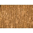 thumbnail image 1 of Ahgly Company Machine Washable Indoor Rectangle Transitional Mahogany Brown Area Rugs, 5' x 8', 1 of 7