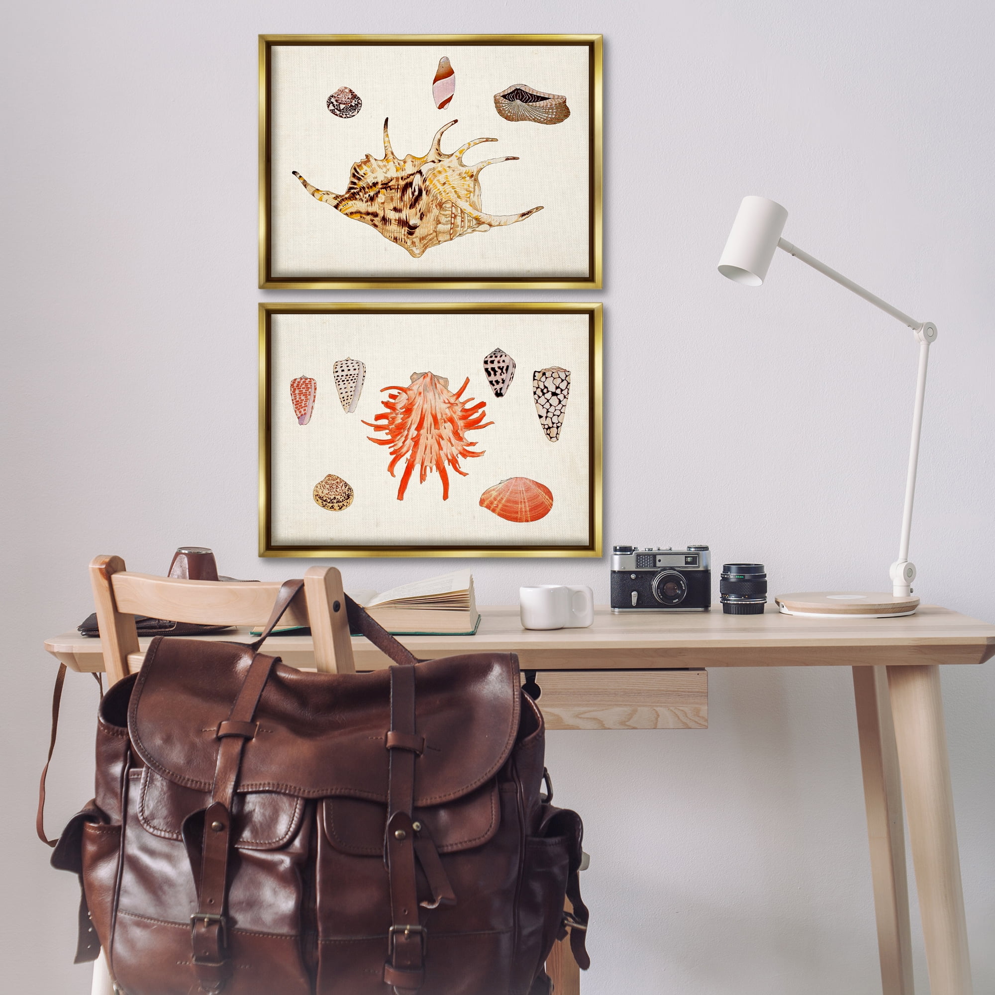 Stupell Industries Antique Shell Anthology Nautical & Beach Painting Gold Floater Framed Canvas Art Print Wall Art, 25 x 17, Set of 2