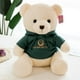 thumbnail image 3 of Lindas sudaderas con capucha de oso de peluche muñeca de tela de caramelo regalo de muñeca de tela de oso de peluche para niñas regalo de Navidad regalo de cumpleaños Rojo Verde, 3 of 5