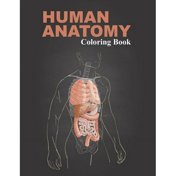 Human Anatomy Coloring Book: An inexpensive workbook which supplements Human Anatomy (Paperback)
