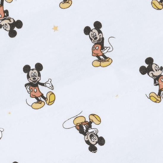 Mickey Fun