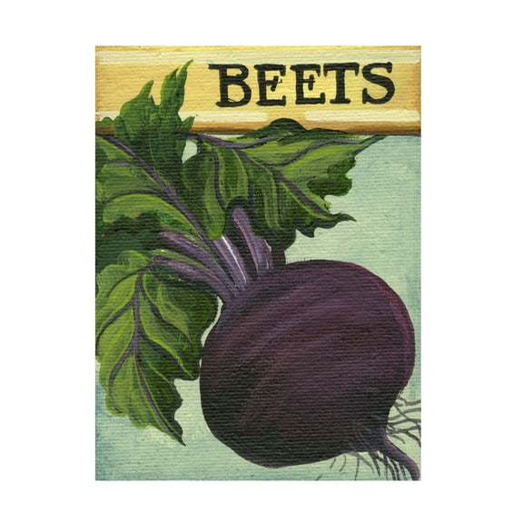 Canvas Wall Art - Debbi Wetzel 'Seed Packets 18 - Beets' Wall Art for Living Room, Bedroom, or Office Décor by Trademark Fine Art - 14 x 19 Inches