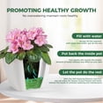 thumbnail image 3 of EFISPSS Self Watering Planters for Indoor Plants : 6 inch White Square Ceramic African Violet Self Watering Flower and Herb pots, 3 of 10