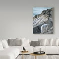 thumbnail image 3 of Trademark Fine Art 'Ramparts Mountain Goats' Canvas Art by Ron Parker, 3 of 3