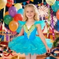 thumbnail image 2 of Vividxx Toddler Girls Dresses Ballet Dress For Girls Playful Dance With Soft Net Overskirt For Performances And 2-3 Years, 2 of 4