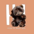 thumbnail image 5 of 9.84 Inch Jointed Alpaca Wool Plush Bear - Handmade With Glass Eyes, 5 of 5