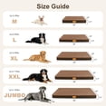 thumbnail image 2 of Exclusivo Mezcla Medium Dog Bed with Removable and Washable Cover 36"x24", Orthopedic Pet Bed for Crates, Non-Slip Bottom and Waterproof Liner, Brown, 2 of 10