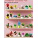 thumbnail image 3 of Building Blocks serie OundArm Succulents Blind Box Box, 2 unidades, 3 of 6