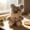 Wedding Schnauzer Plush Under $5 a3, variant on Yannianjz Toys Under $5, Schnauzer Plush Stuffed AnimalToy, 8 Inch Wedding Throw Puppy Doll, Soft Short Plush Dog Gift for Bridal Shower Party Decoration
