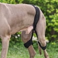 thumbnail image 4 of Dog Knee Brace For Support With Cruciate Ligament Injury, Joint Pain And Muscle Sore, Better Recovery Brace, Adjustable Rear Leg Braces Dogs L, 4 of 5