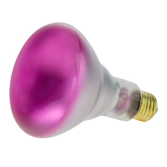 Halco 404046 BR30PNK65/5 65 Watt BR30 5M Prism Incandescent, Pink, Medium Base, 130 volts (Pack of 12)