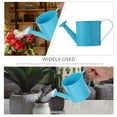 thumbnail image 5 of CATIEBYE Horticultural Watering Can for Home Gardening, Metal Watering Can 1 Set for Indoor and Outdoor Plants, 5 of 6