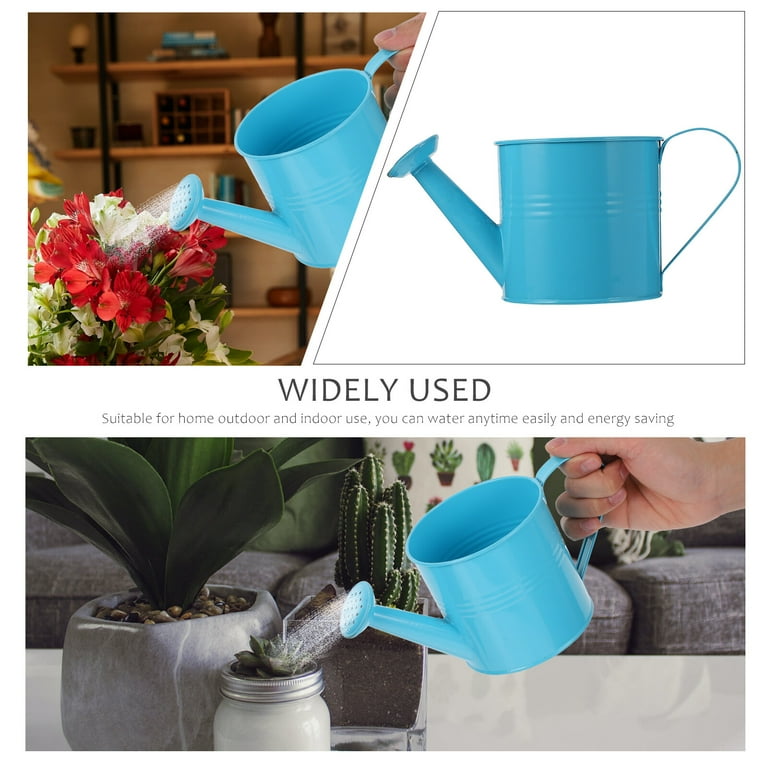 CATIEBYE Horticultural Watering Can for Home Gardening, Metal