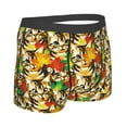 thumbnail image 2 of Rateoe Kittens With Maple Leaves Mens Boxer Briefs Poly Spandex Performance Boxer Briefs Underwear Hem Boxer Briefs - Medium, 2 of 8
