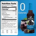 thumbnail image 3 of Syruvia Blackberry Sugar Free Coffee Syrup No-Calorie Coffee Sauce for Coffee, Lattes, Shakes, Smoothies, Desserts, 25.4 Fl. Oz, 3 of 7