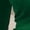 Blackish Green, variant on Long Sleeve Shirts for Women Turtleneck Fitted Layering Tops Basic Stretch Fall Blouses for Women Casual Outdoor Wear